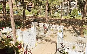 Vita Homestay Mang Den
